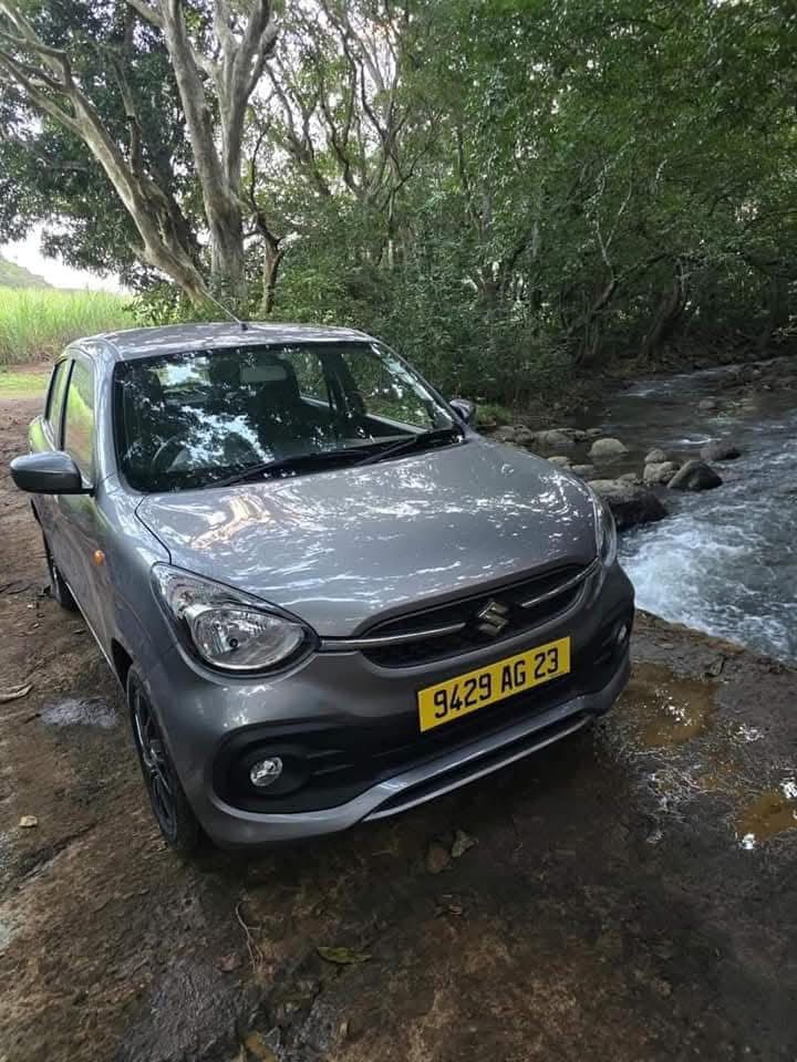 Suzuki